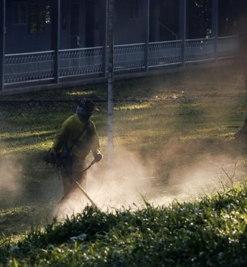 A man cuts grass in the Philippines, creating a dust cloud in the sunlight.